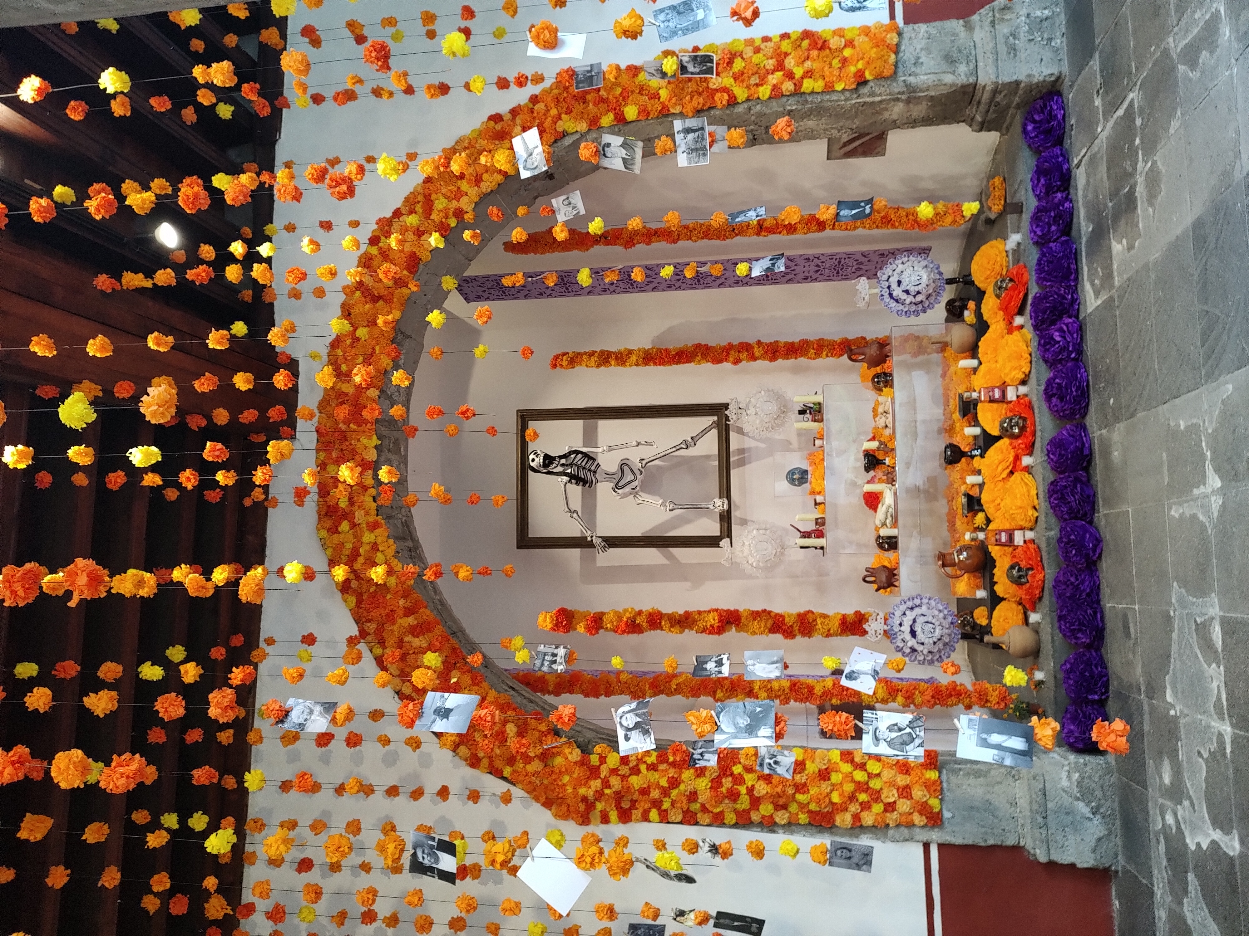 Día de Muertos en el Centro Histórico: Ofrendas, Flores y Cerveza